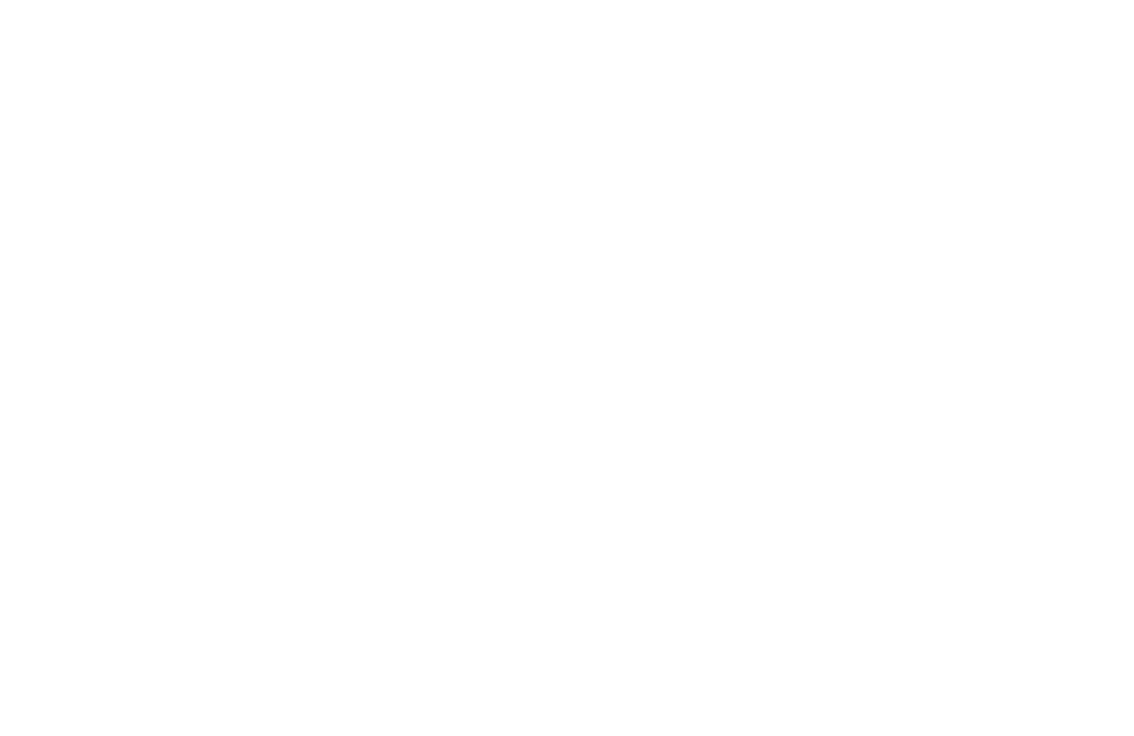 100 day return